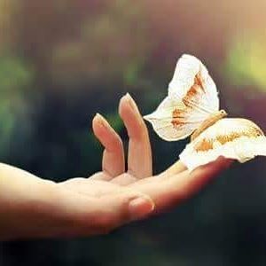 Meet your Posher, Robin